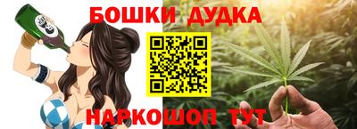 индика Нарткала