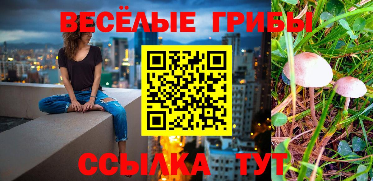 Галлюциногенные грибы Cubensis Азов
